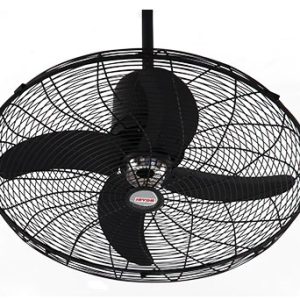 Royal Deluxe Circo Fan