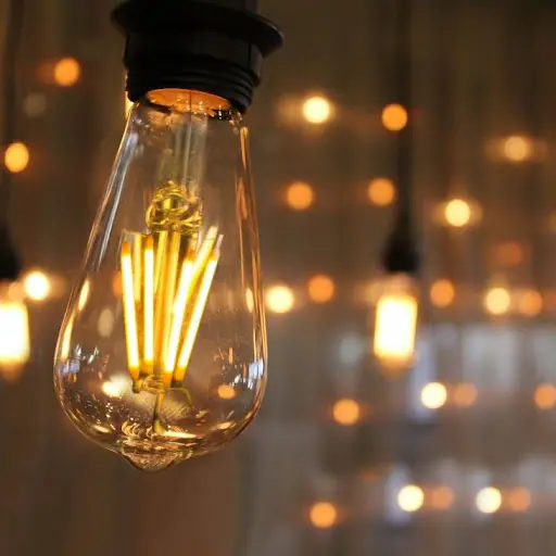 LED BULB (ST 64) FILAMENT