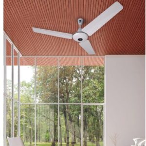 pak fan delux inverter ACDC